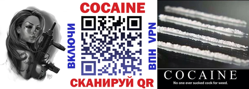 KRAKEN ONION  купить наркотик  Спасск  Кокаин Fish Scale 