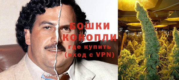 молекула духа Алзамай