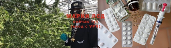 молекула духа Алзамай